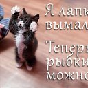  ,  , 68  -  15  2019    