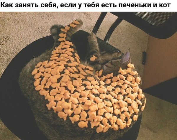    - 30  2019  16:49