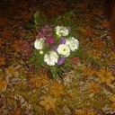 ���� ��������, �����, 50 ��� - ��������� 3 ������� 2018 � ������ ���� ����������