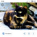 ���� ������, ������, 47 ��� - ��������� 9 ������� 2019 � ������ ���� ����������