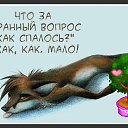 ���� �0, �����-���������, 64 ���� - ��������� 23 ����� 2019 � ������ ���� ����������