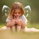 ���� ��������, ������, 57 ��� - ��������� 14 ������� 2019 � ������ ������ ��������