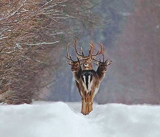 ������ ������...:-)