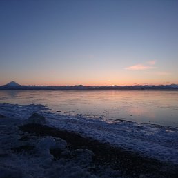 ������, �������������-����������, 38 ���