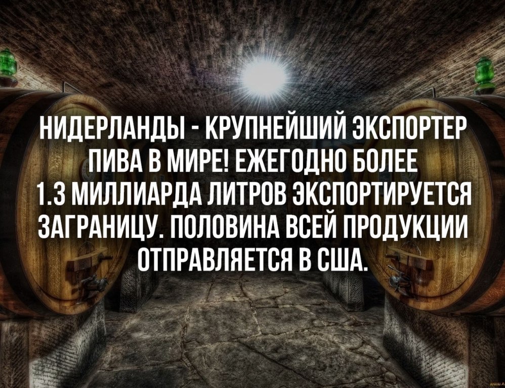   :    - 20  2019  16:41