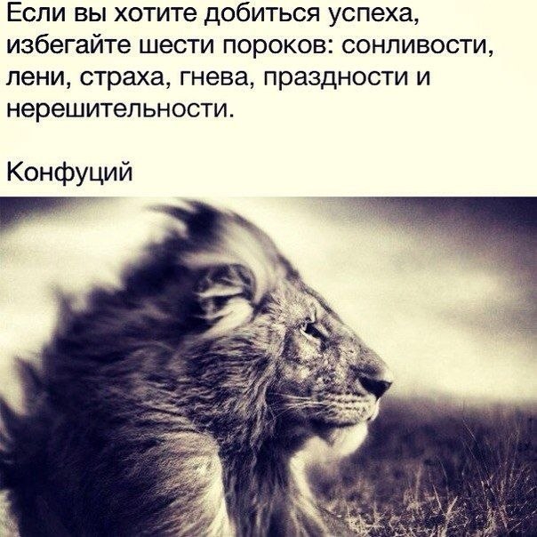! #@thelady