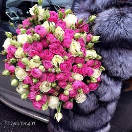 �����, ��������