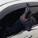 ���� ��������, ������ - ��������� 2 ������ 2019 � ������ ���� ����������