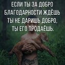  , , 57  -  13  2018          ...