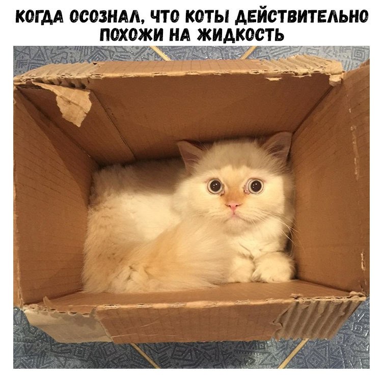    :D - 21  2018  16:40