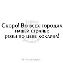  Zemlyanika,  -  26  2019    