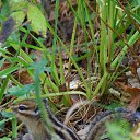 ���� John, �����������, 56 ��� - ��������� 19 �������� 2018 � ������ ������ ��������