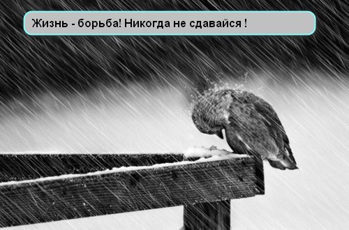  - 10  2019  11:59