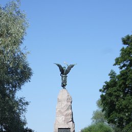 , , 85 