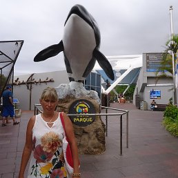 �����, ������, 54 ����