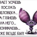    ....,  -  15  2019       !!!