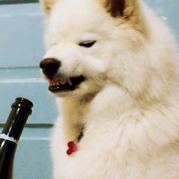 Steven, ����, 34 ����