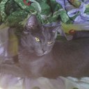 ���� ��������, ����, 56 ��� - ��������� 23 ������� 2018 � ������ ���� ����������