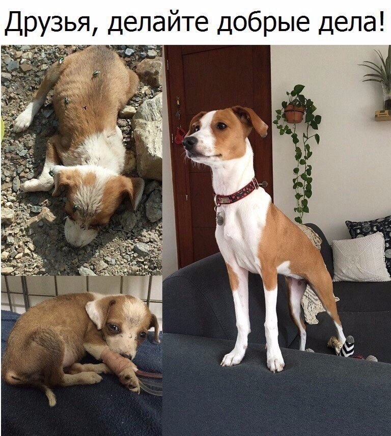  - 6  2018  16:54
