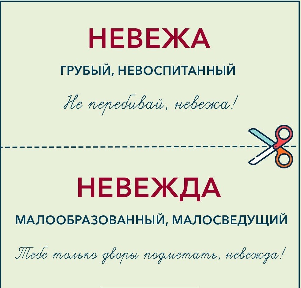   ) - 6