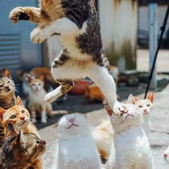 -