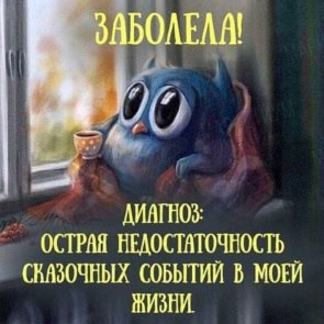   - 28  2018  13:02