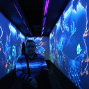 ���� ������, �������, 62 ���� - ��������� 11 ����� 2019 � ������ ���� ����������