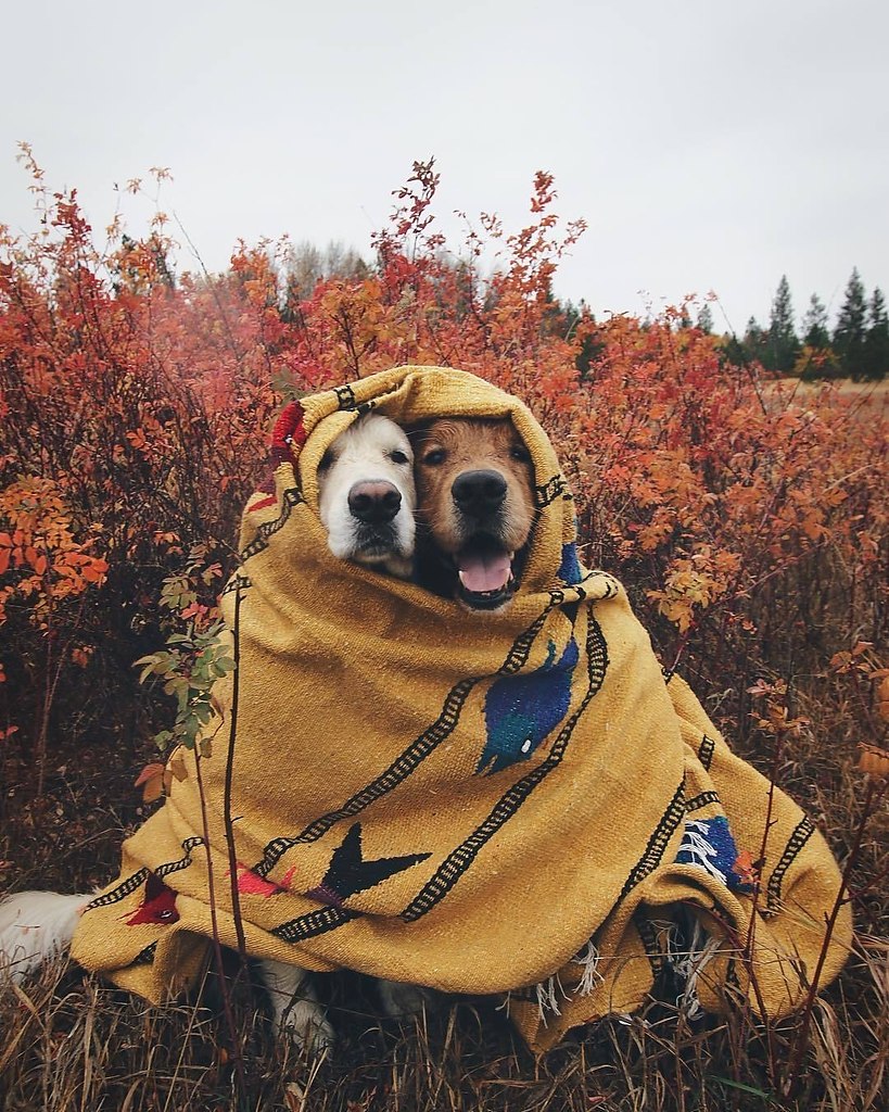-.: https://fotostrana.ru/away?to=/sl/qcG ()#@ican - 8