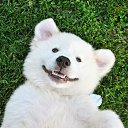 ���� ������, ��������, 61 ��� - ��������� 23 ������ 2019 � ������ ������ ��������