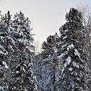  , , 57  -  17  2018   .  ,  ... )))