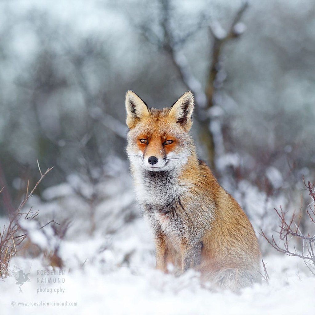 #@https://fotostrana.ru/away?to=/sl/NWB4 Emma Taggart - 2