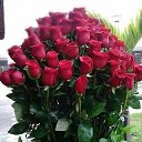 ���� ������, ������������ - ��������� 18 ������ 2018 � ������ ���� ����������