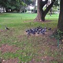  -,09.09.18. ,8.35.    -,09.09.18. ,8.35.