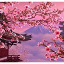 ���� ��, ������, 62 ���� - ��������� 14 ������ 2019 � ������ ���� ��