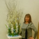 ���� ���������, ������ �����, 56 ��� - ��������� 14 ������� 2018 � ������ ���� ����������