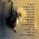 ���� ����, ������ �����, 66 ��� - ��������� 24 ������� 2018 � ������ ������ ��������