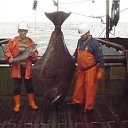 ���� ��������, ������� - ��������� 30 ���� 2018 � ������ �������