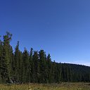  , , 46  -  20  2018     "" ( 2018)