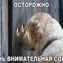 ���� �����, ������ �������� - ��������� 18 ������� 2018 � ������ ������ ��������