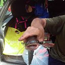 ���� ����, ������, 50 ��� - ��������� 8 ������� 2018 � ������ ���� ����������