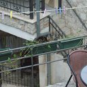  , , 46  -  6  2018   -- 2018