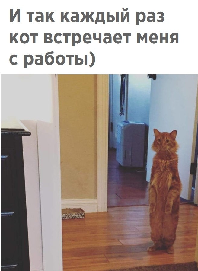   ? - 25  2018  16:47