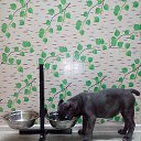 ���� ������, �����-���������, 52 ���� - ��������� 9 ������ 2018 � ������ ���� �������