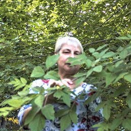 ����, ������, 70 ���