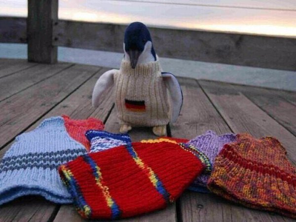 Альфу Дейту 109 лет. И он без труда шьет свитеры для пингвинов! - 6