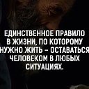  Love, , 64  -  11  2019   