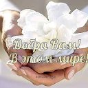 ���� Amina, ������ - ��������� 12 ������� 2018 � ������ ������ ��������