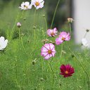  ,  -  6  2018      ...