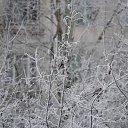 ���� �������, �����-���������, 50 ��� - ��������� 26 ������ 2018