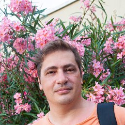 �����, ���������, 53 ����